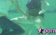 6 New Videos Added